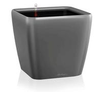 Lechuza Quadro Premium LS 50 Antracita Metalizado 16283 | 1 paquete, 47 x 50 cm, tamaño grande, interior, exterior, agujero de drenaje, plástico de calidad, resistente a las heladas