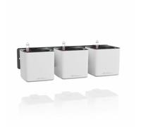 Lechuza - Recipiente con riego Cube Premium Green Wall Blanco Mate