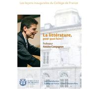 Leçons inaugurales du collège de France : la littérature, pour quoi faire ? [Francia] [DVD]