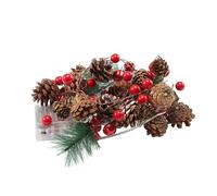 LED Christmas Light | Fairy Lights, Multi-Coloured LED-Garden,Wedding,Party,Tree Decorations | For Indoor Outdoor Living Room Bedroom Kitchen Garden Patio Porch Mantel Fireplace