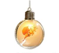 LED Christmas Ornament Clear Plastic Ball Light-Up(E) | Built-in button light, transparent shell, festive glow, easy hang loop, tree party decor