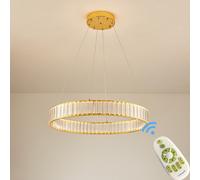 LED Colgante Lámpara 3015 Control Remoto Color Claro Ajustable Regulable