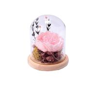 Led Lamp Glass Cover Eternal Flower Birthday Gift for Girlfriend Mother'S Day Peony Hydrangea-Pink