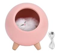 LED Night Light Pet CASA Lámpara Lámpara USB USB Luz Recargable de la Noche de la Noche para el cumpleaños del de Navidad