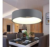 LED Office Pendant Light Round Chandelier, Hollow Round Creative Ring Circle Adjustable Suspended Hanging Lamp for Living Room Bedroom Decor Lighting