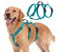 Ledeak Arnes Perro Grande Mediano, Arnes Perro Antitirones Transpirable con Mango de Control, Arnés Anti Tirones, Chaleco Ajustable y Antiescape para Adiestramiento y Paseos, Dog Harness (Turquesa, L)