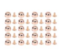 Leder Nieten Set 20 Stück Zinklegierung Nieten Kit mit Schrauben 10x6mm für Gürtel Taschen Schuhe Lederarbeiten (Oro)