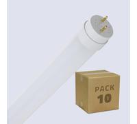LEDKIA Tubo LED T8 Cristal 120cm Conexión un Lateral 18W 160lm/W (Pack 10 u