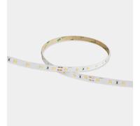 LEDS·C4 Tira LED On Basic 4.8 10mm 24W Blanco Frío 6000K CRI 80 IP65 2137LM Iluminación LED Resistente para Exteriores