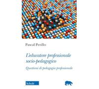 L'educatore professionale socio-pedagogico. Questioni di pedagogia professionale (Orso blu)