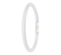 LEDVANCE Tubo LED T5, 2GX13, 11,6 W, 4000 K, blanco frío, 1700 lm, 225 mm, regulable