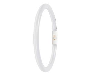 LEDVANCE Tubo LED T5, 2GX13, 11,6 W, 4000 K, blanco frío, 1700 lm, 225 mm, regulable