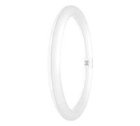 Ledvance Tubo LED T9 Value redondo (EM/Mains) 18,3 W 2200 lm - 840 blanco frío | repuesto para 32 W
