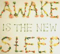 Lee,Ben - Awake is The New Sleep [Import]