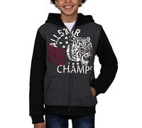 LEE Boys Hoodie Gray Grey Charcoal Sherpa Lined Allstar 89 Champs Full-Zip