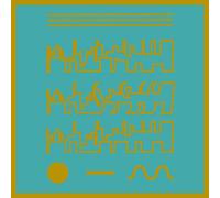 Lee Evans - Animist Pools [Vinilo]