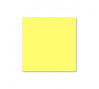 Lee Filters 3100u2 Filtro Resina, Color Amarillo Claro