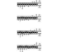 Lee Oskar 797004 - Armónica diatónica, Re bemol mayor