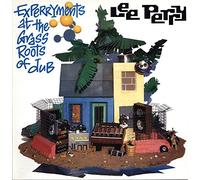 Lee Perry & Mad Professor - Experryments Dub [Vinilo]
