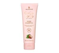 Lee Stafford Champú Shine | Colección Coco Loco - El mejor champú hidratante para cabello seco y opaco, acabado brillante, empaquetado con aceite de coco y esencia de agave, 250 ml