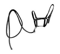 LeeQinersw Cabestro para Caballo con Rienda Arnés de Nylon Suave Equipo de Horsemanship para Accesorio Seguro para Entrenamiento Y Conducción Adecuado Pa, Negro