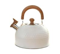 LeeQinersw Tetera con Potente Y Cuerpo Ligero en Acero Inoxidable Diseño Que Facilita El Llenado Y Limpieza Rápida Apta para Inducción O Estufa, 2.5l Blanco, Individual