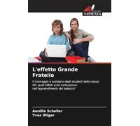 L'effetto Grande Fratello: Il tutoraggio a sostegno degli studenti della classe 9H: quali effetti sulla motivazione nell'apprendimento del tedesco?