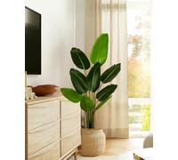 Leflos 150cm Planta Artificial Ave del paraíso con 10 Hojas Ajustables, Strelitzia Reginae Aiton Viva, sólo para Uso Interior, 1 Pieza