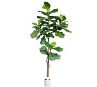 Leflos 180cm higuera Artificial pequeña para Interior, Plantas Artificiales Tropicales en macetas Blancas, Bonita decoración para el hogar