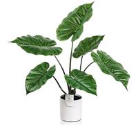 Leflos 68cm Planta Artificial Monstera Deliciosa para Interior, Alocasia Planta en Maceta Artificial, Pequeño árbol Tropical Artificial en Maceta Blanca