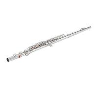 Leftwei Flauta de Plata, Instrumento Musical Profesional, Flauta de Tubo con Boquilla Pulida a Mano con Cojín de Carcasa de Oveja, Ideal para Estudiantes Adultos Principiantes