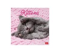 Legami - Calendario 2027 Pared, Gatitos, 12 Meses, 30 x 29 cm