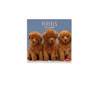 Legami - Calendario 2027 Pared, Puppies, 12 meses, 18 x 18 cm