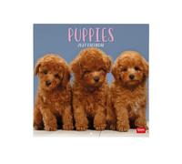 Legami - Calendario 2027 Pared, Puppies, 12 Meses, 30 x 29 cm
