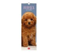 Legami - Calendario 2027 Pared, Puppies, calendario de pared pequeño, 12 meses y agenda anual, en 6 idiomas, espacio para notas, signos del zodiaco, fiestas internacionales, 16 x 49 cm