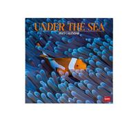 Legami - Calendario 2027 Pared, Under The Sea, 12 Meses, 30 x 29 cm