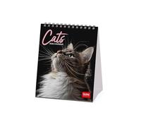 Legami - Calendario de mesa 2026, Cats, calendario de escritorio, 12 meses y planificador anual, en 6 idiomas, signos del zodiaco, fiestas internacionales, 12 x 14,5 cm