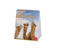 Legami - Calendario de mesa 2026, Take It Easy, calendario de escritorio, 12 meses y planificador anual, en 6 idiomas, signos del zodiaco, fiestas internacionales, 12 x 14,5 cm