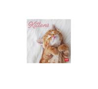 Legami - Calendario de pared 2025, calendario de pared 18 x 18 cm, 12 meses y planificador anual, espacio para notas y notas, 6 idiomas, signos del zodiaco y fiestas internacionales, Kittens
