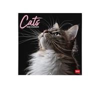 Legami - Calendario de pared 2026,Cats, gran calendario de pared, 12 meses y año, en 6 idiomas, espacio para notas, signos del zodíaco, días festivos internacionales, 30 x 29 cm