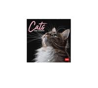 Legami - Calendario de Pared 2026, Cats, Pequeño calendario de Pared, Planificador de 12 Meses y un Año, en 6 Idiomas, Espacio para Notas, Signos del zodiaco, Fiestas Internacionales, 18 x 18 cm