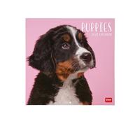 Legami - Calendario de pared 2026,Puppies, gran calendario de pared, 12 meses y año, en 6 idiomas, espacio para notas, signos del zodíaco, días festivos internacionales, 30 x 29 cm