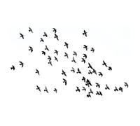 Legendarte - Cuadro Lienzo, Impresión Digital - Bandada De Pájaros Negros Como Pensamientos Exiliados - Decoración Paredcm. 50x80