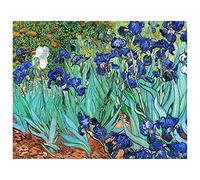 Legendarte - Cuadro Lienzo, Impresión Digital - Lirios - Vincent Van Gogh - Decoración Pared cm. 40x50