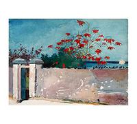 Legendarte - Cuadro Lienzo, Impresión Digital - Una Pared, Nassau - Winslow Homer - Decoración Pared cm. 80x110