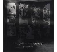 Legendary Pink Dots - Synaesthesia [Vinilo]