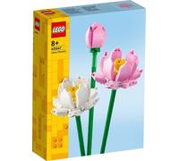 Flores de Loto