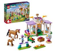 LEGO 41746 Friends Clase de Equitación con 2 Figuras de Caballos de Juguete, Mini Muñecas Aliya y MIA, Juego de Veterinaria, Regalos de Animales para Niñas y Niños