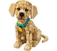Iconos LEGO - Cachorro Golden Retriever - 11384 nuevo