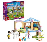 LEGO Clínica Veterinaria de Animales